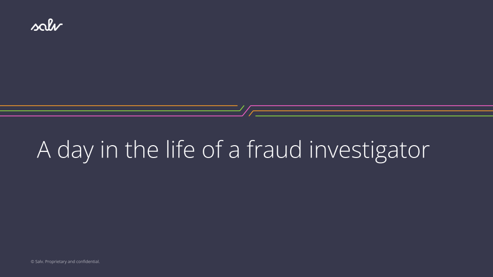 /uploads/A%20day%20in%20the%20life%20of%20a%20fraud%20investigator.png